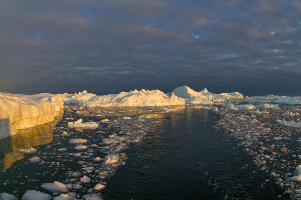 Eisberge Ilulissat